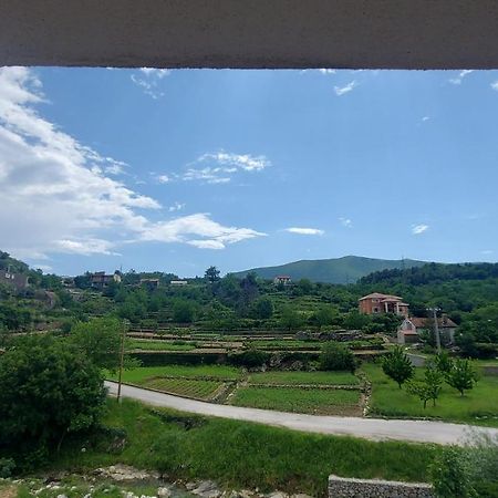 Apartman Nature Zvecanje Kültér fotó