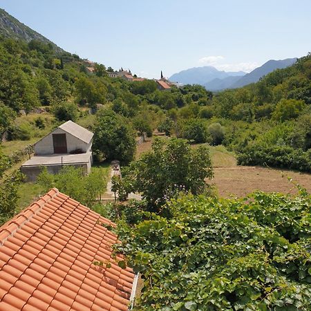 Apartman Nature Zvecanje Kültér fotó