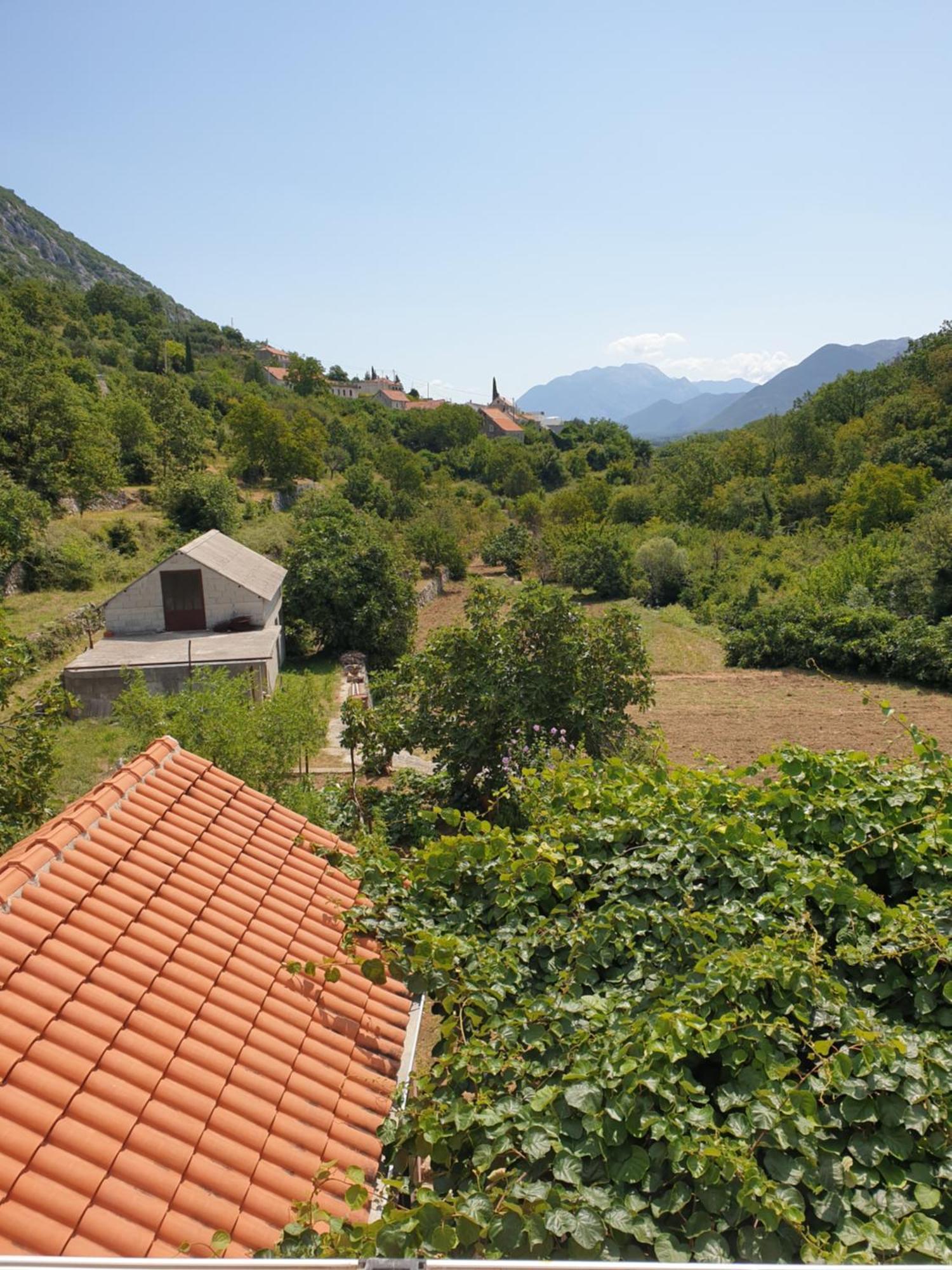 Apartman Nature Zvecanje Kültér fotó